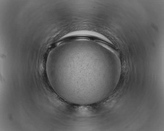 X0000090930566200708061605