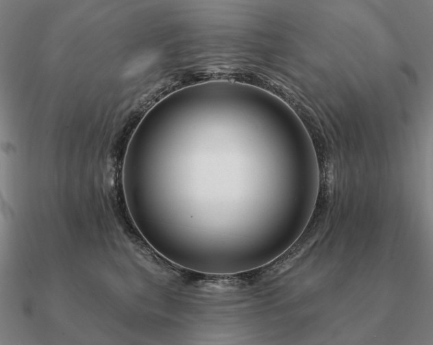 X0000090930567200708061605