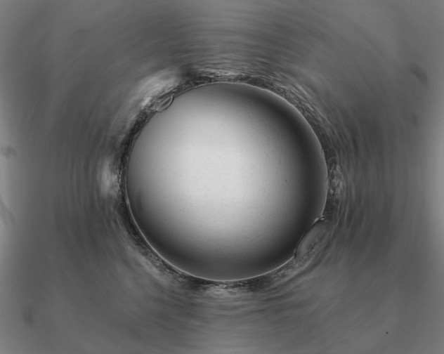 X0000090930568200708061605