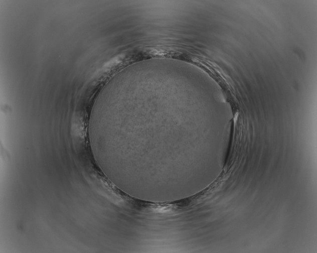 X0000090930569200708061605