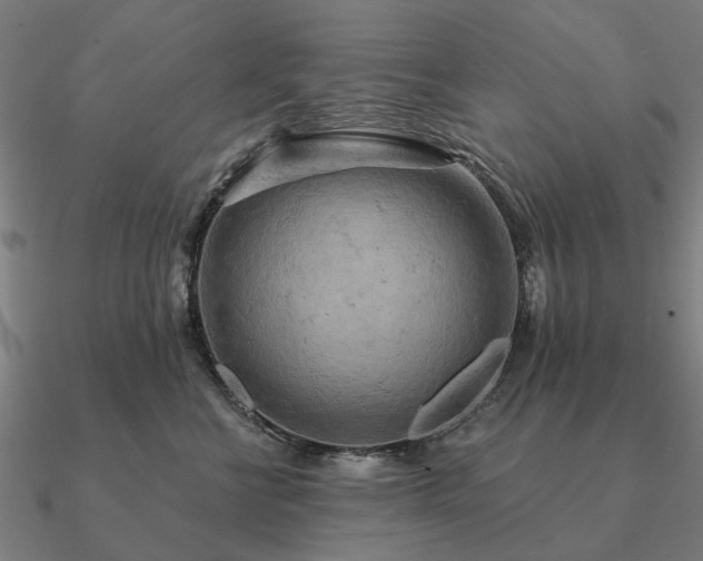 X0000090930570200708061605