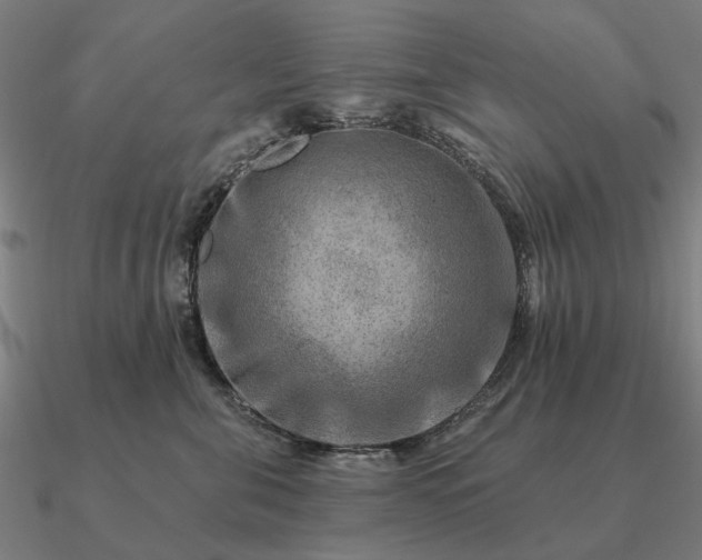 X0000090930571200708061605