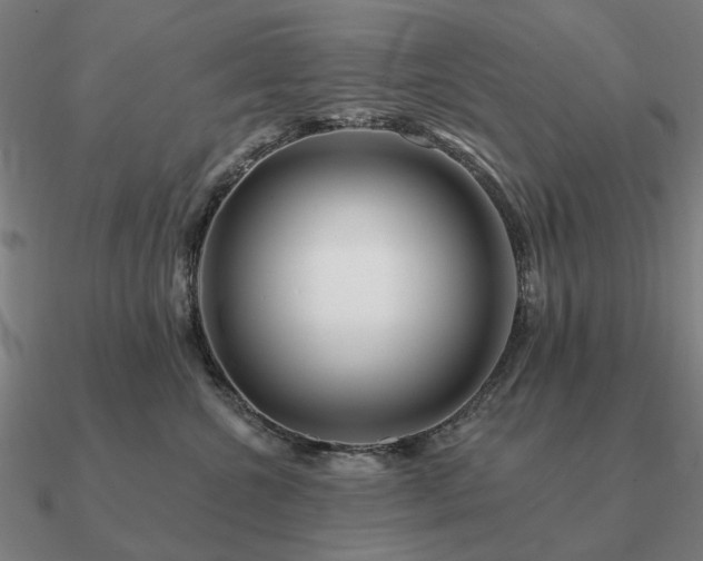 X0000090930572200708061605