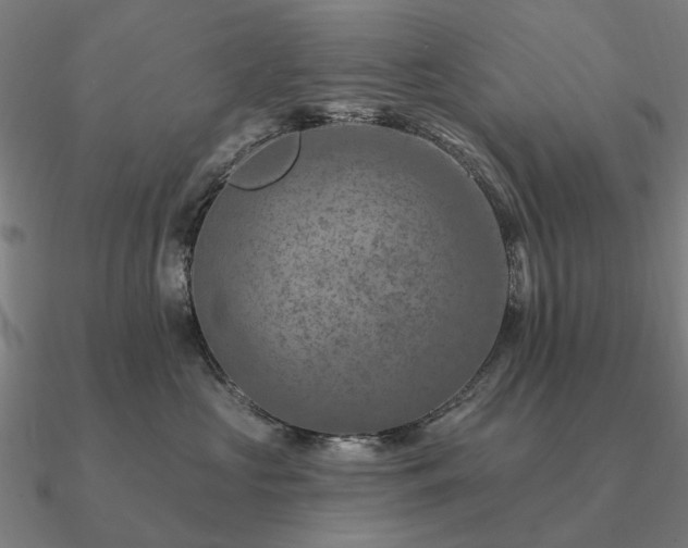 X0000090930573200708061605