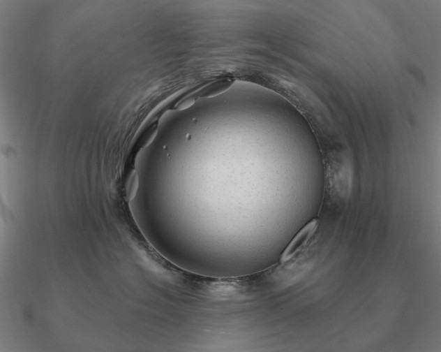 X0000090930574200708061605