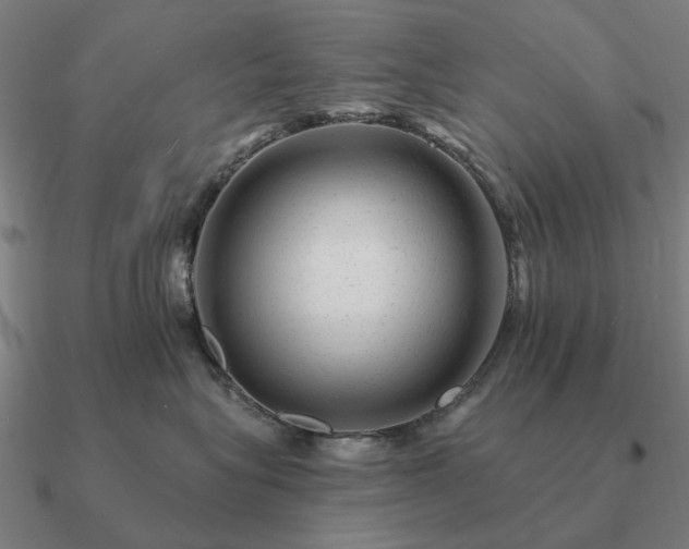 X0000090930575200708061605