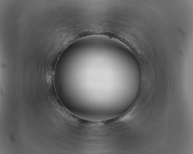 X0000090930576200708061605