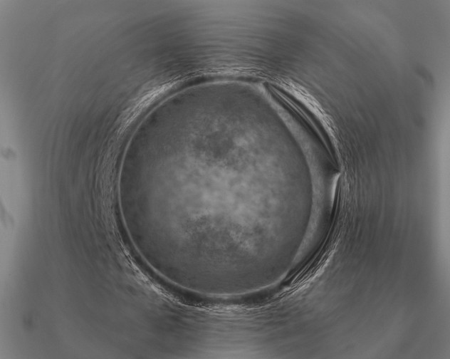 X0000090930577200708061605