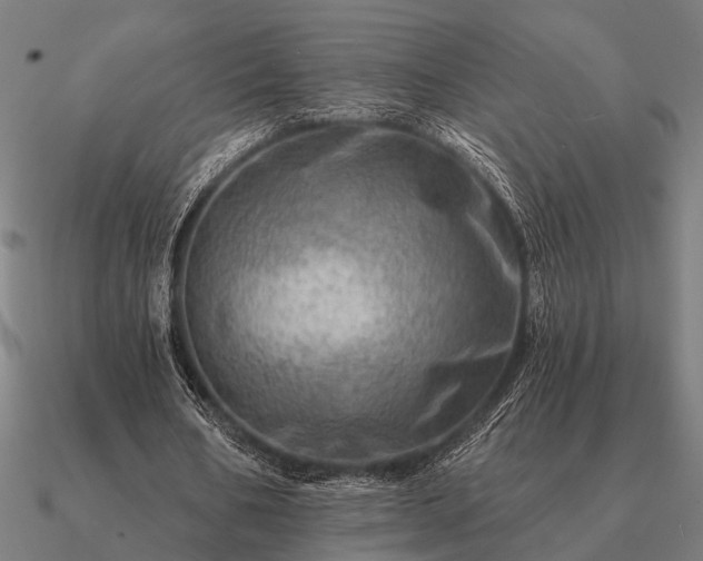 X0000090930578200708061605