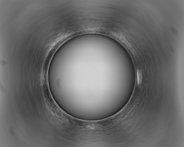 X0000090930579200708061605