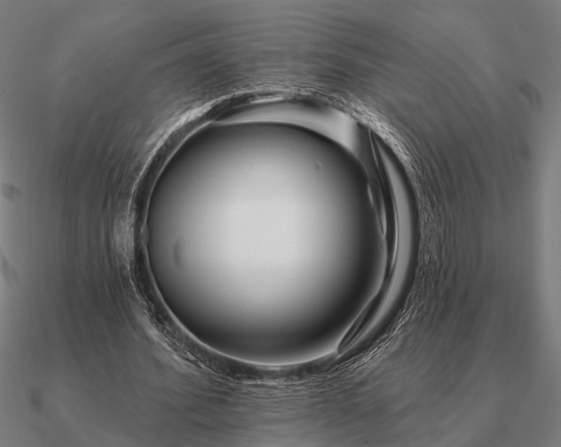 X0000090930580200708061605