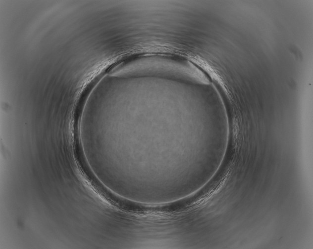 X0000090930581200708061605