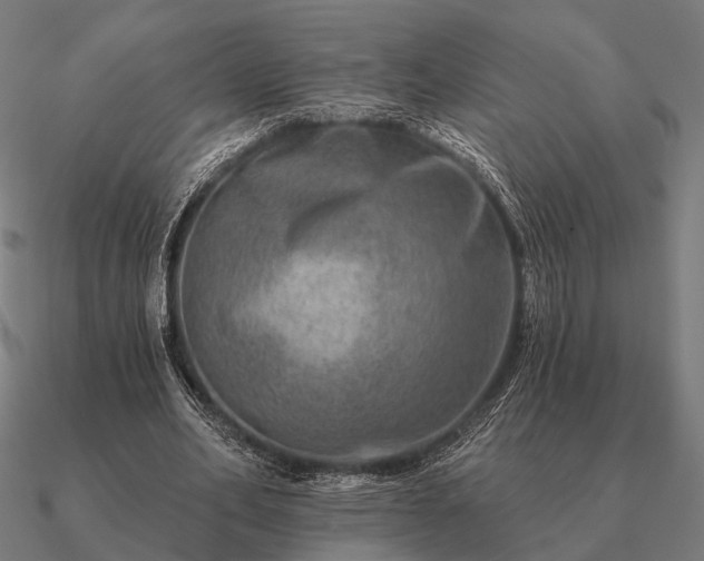 X0000090930582200708061605