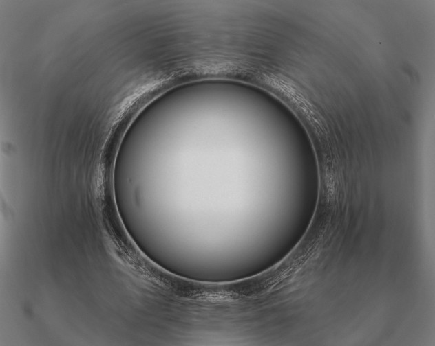 X0000090930583200708061605