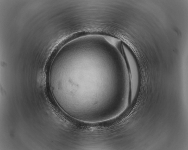 X0000090930584200708061605