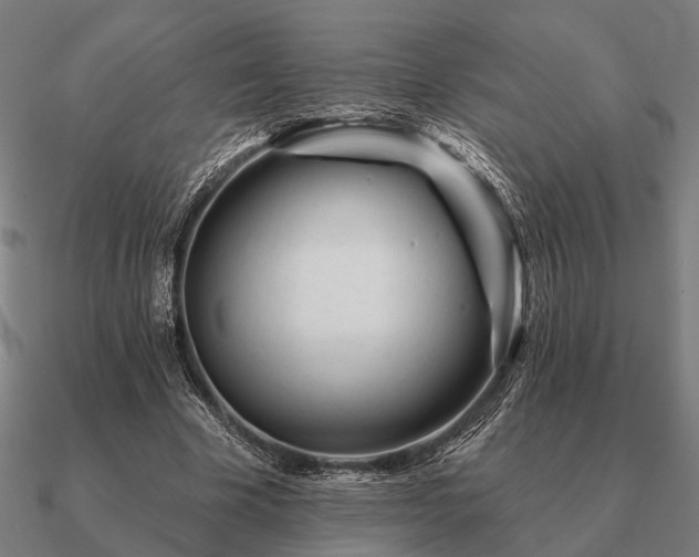 X0000090930585200708061605