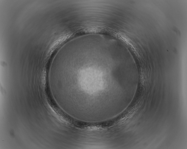 X0000090930586200708061605