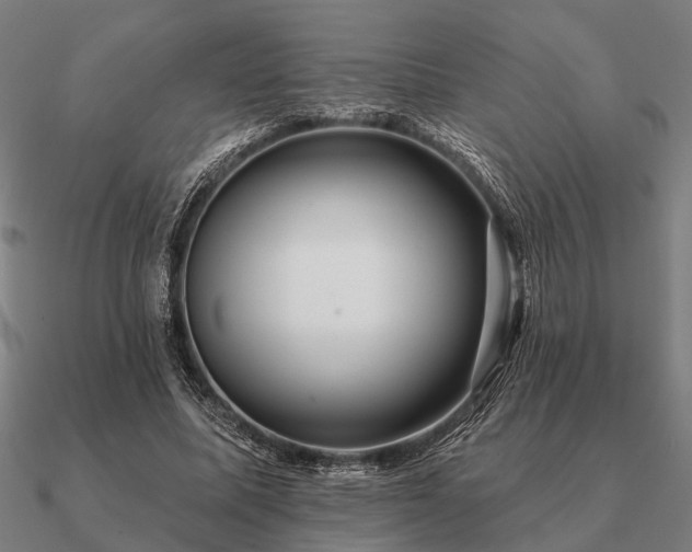 X0000090930587200708061605