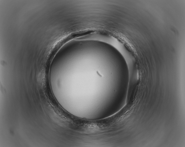 X0000090930588200708061605