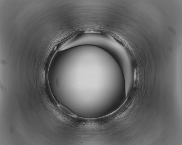 X0000090930589200708061605