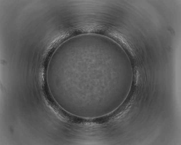 X0000090930590200708061605