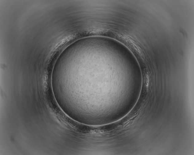 X0000090930591200708061605