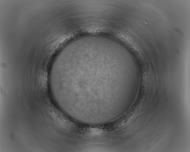 X0000090930592200708061605