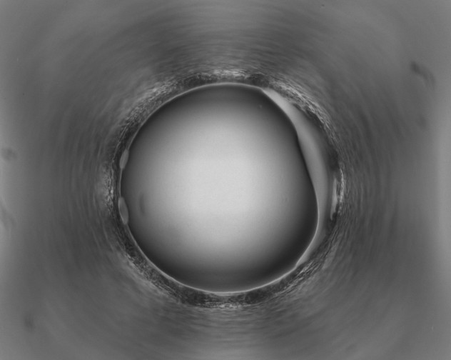 X0000090930593200708061605