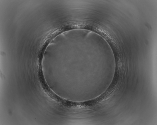 X0000090930594200708061604