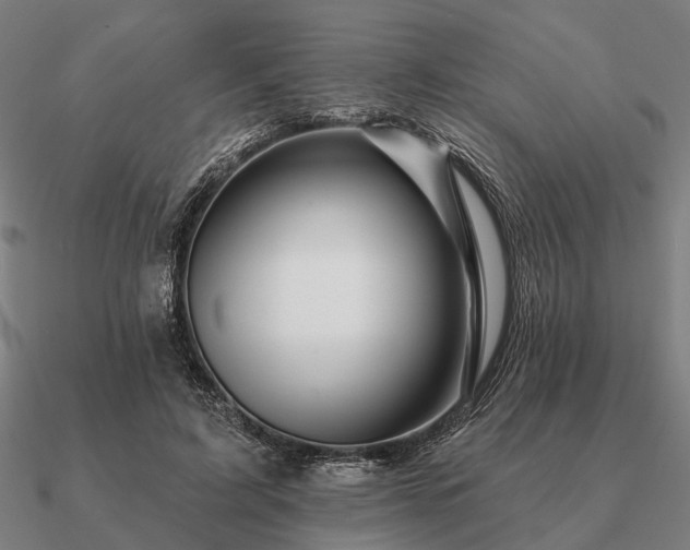 X0000090930595200708061604