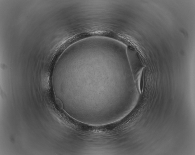 X0000090930596200708061604