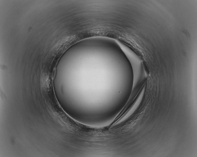 X0000090930597200708061604