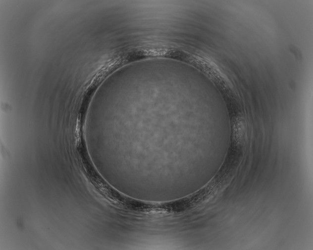 X0000090930598200708061604