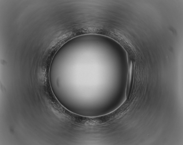 X0000090930599200708061604