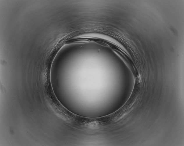 X0000090930600200708061604