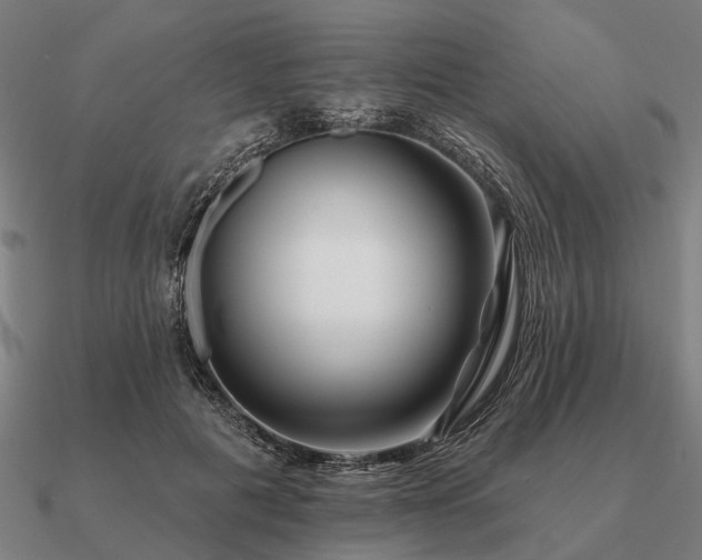 X0000090930601200708061604