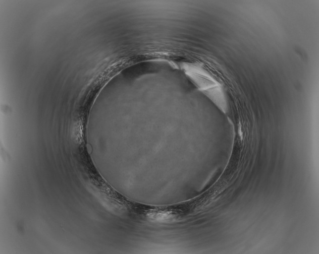 X0000090930602200708061604