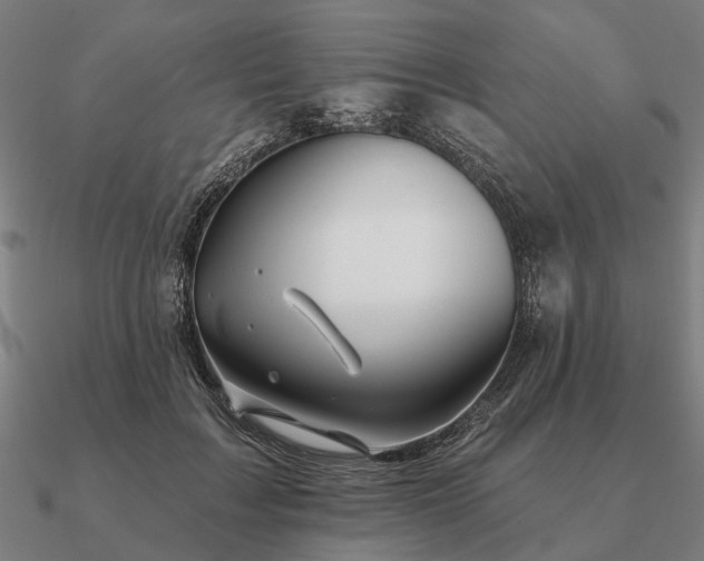 X0000090930603200708061604