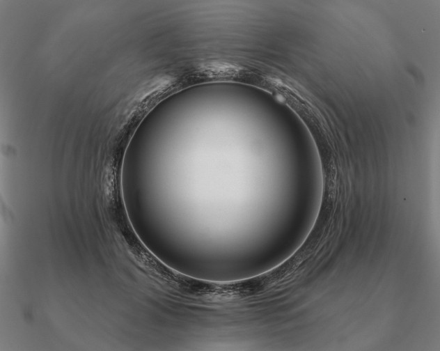 X0000090930604200708061604