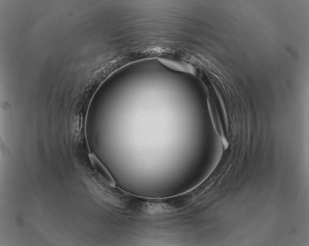 X0000090930605200708061604