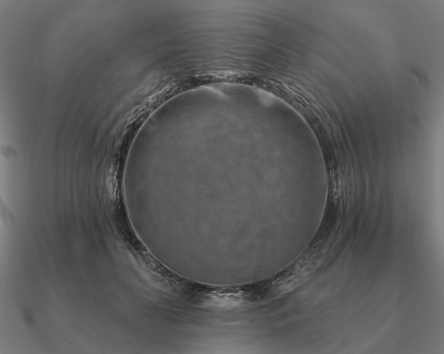 X0000090930606200708061604