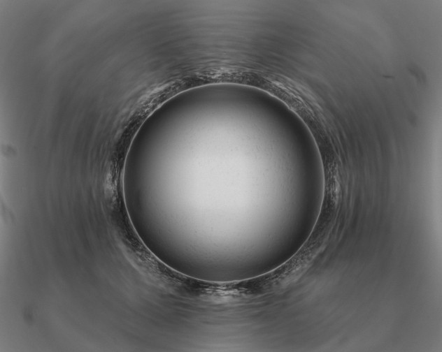 X0000090930607200708061604