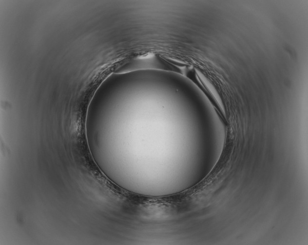 X0000090930608200708061604