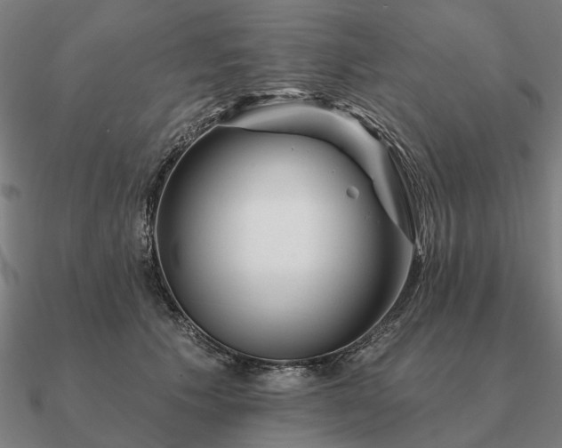 X0000090930609200708061604