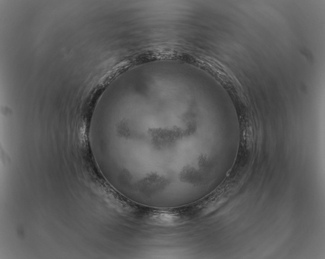 X0000090930610200708061604