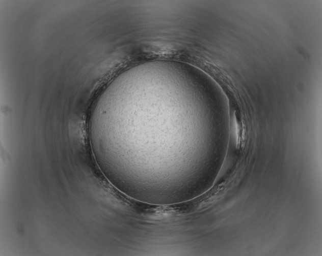 X0000090930612200708061604