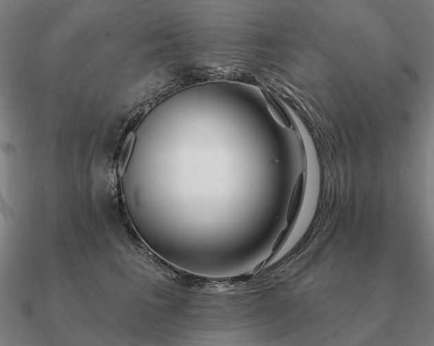 X0000090930613200708061604