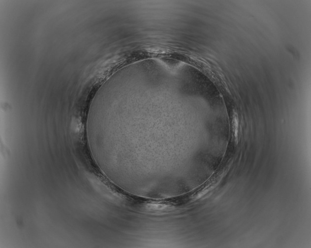 X0000090930614200708061604