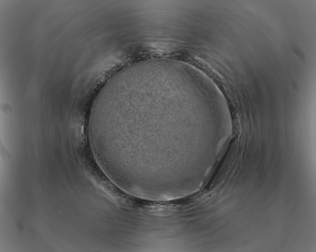 X0000090930615200708061604