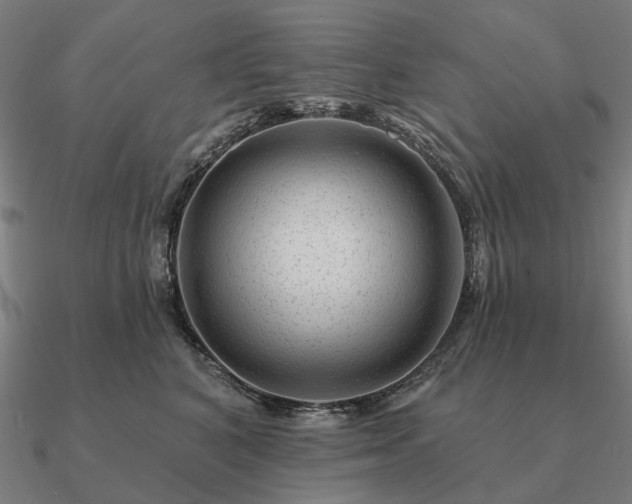 X0000090930616200708061604